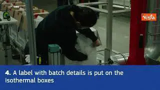 Covid, i vaccini preparati, spediti e trasportati in tutta Europa