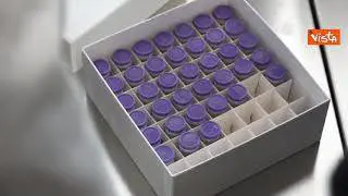 Covid, lo smistamento dei vaccini: provette suddivise e conservate a -70