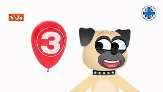 Botti di Capodanno, i consigli dell'Enpa per proteggere gli animali