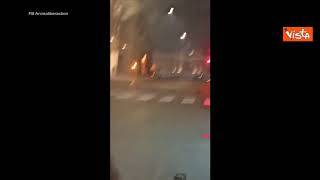 Strage di uccelli nella notte di Capodanno a Roma, gli storni caduti al suolo per via dei botti