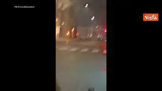 Strage di uccelli nella notte di Capodanno a Roma, gli storni caduti al suolo per via dei botti