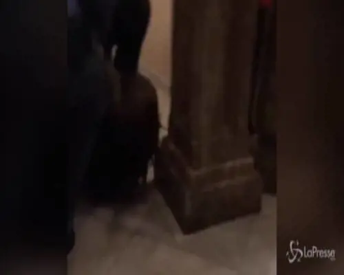 Assalto a Capitol Hill, donna ferita da colpo di arma da fuoco