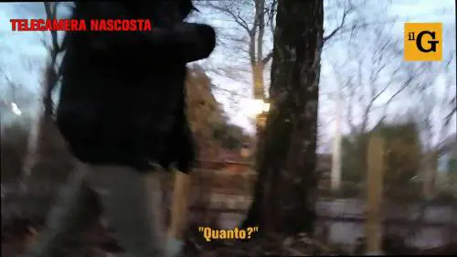 Cascine, il parco della droga. Passeggiata tra gli spacciatori