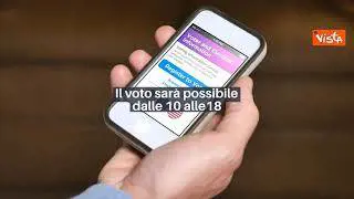 INFOGRAFICA Governo Draghi, al via la consultazione M5s su Rousseau. Ecco come si vota