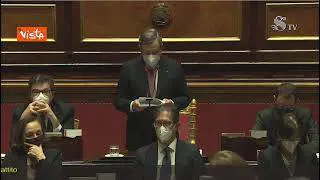 Governo, Draghi cita Papa Francesco: "Sfida è proteggere l'ambiente"