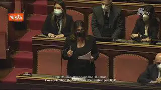 "Mola mia", l'incoraggiamento di Gallone (FI) a Draghi in bergamasco. Significa "Non mollare"