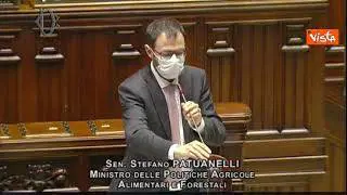 Etichettatura Nutriscore, il ministro per le Politiche Agricole Patuanelli: "Va bloccato subito"