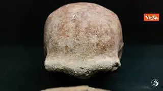 Ritrovati al Circeo i resti di 9 uomini del Neanderthal