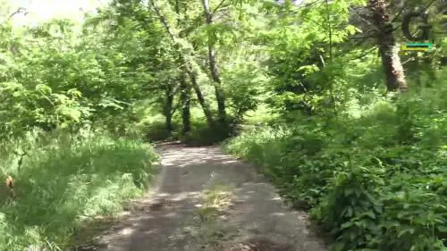 Nel parco degli orrori: "Forse l'aggressore è passato di qui"