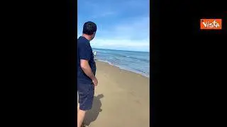 Salvini si rilassa sulla spiaggia di Lesina e incontra una mandria di mucche che passeggiano