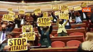 Protesta del M5s in Aula al Senato con i cartelli "Stop vitalizi"