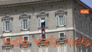 Papa Francesco all'Angelus: "Una società che mette al centro gli interessi non genera vita"