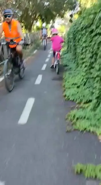 Questo è lo stato in cui versa una pista ciclabile di Roma