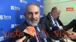 Donnarumma (AD Terna): "Per transizione ecologica serve unire competenze diverse aziende"