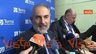 Donnarumma (AD Terna): "Per transizione ecologica serve unire competenze diverse aziende"