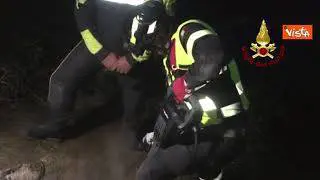 Cagnolino resta intrappolato tra le rocce nel palermitano, salvato