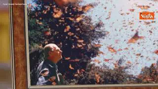 L'amore della Regina Elisabetta per Filippo è nei dettagli, in video la spilla che lo omaggia