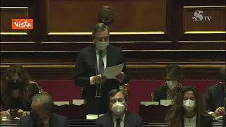 Draghi: "Casi in crescita, rinnovo stato emergenza per fronteggiare al meglio la situazione"