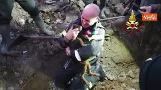 Salvati due cani bloccati in un cunicolo, l'intervento dei vigili del fuoco