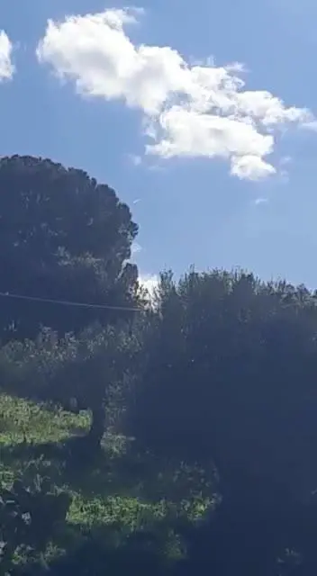 "Avvistato un ufo": uno chef porta le prove ai carabinieri