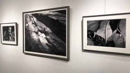Down to Earth, il nuovo lavoro di Denis Piel
