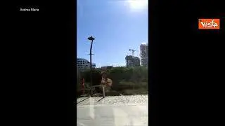 Forte vento a Milano, alberi caduti e paura in strada