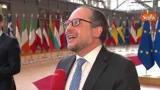 Crisi Ucraina, Schallenberg (Ministro Esteri Austria): "Sanzioni massicce e dolorose per Russia"