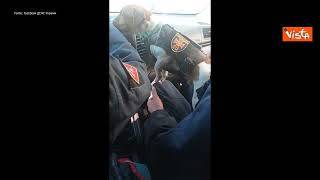Il piccolo cane degli artificieri di Chernihiv ha aiutato a ritrovare quasi 90 ordigni