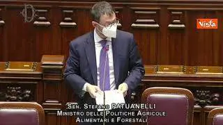 Ucraina, Patuanelli: "Perdita vite e abbandono terra non ci lascia indifferenti". Applauso in Aula