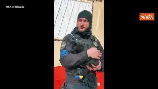 Ucraina, in un video alcuni degli animali salvati dall'esercito di Kiev