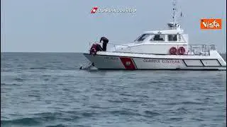 Delfino intrappolato in una rete da pesca, liberato dalla Guardia Costiera