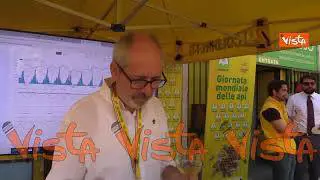 Giornata mondiale delle api, ecco il "sommelier del miele" all'iniziativa romana di Coldiretti