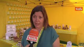 Giornata mondiale api, Bortolas (Coldiretti Donne): "In Italia oltre 60 varietà di miele"