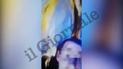 Milano, climber scala il Duomo di Milano: ecco il video dalla Madonnina