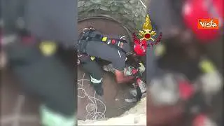 Cagnolino cade in un pozzo nel Sassarese, salvato dai Vigili del Fuoco