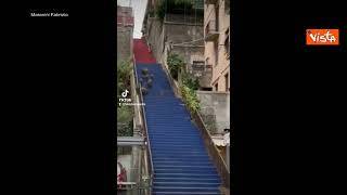 Cinghiali a Genova, in dieci salgono la scalinata nel quartiere di Albaro