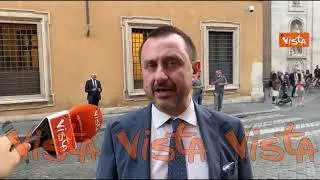 Rosato: "Oggi commesso un omicidio politico, perdere Draghi grave danno per l'Italia"