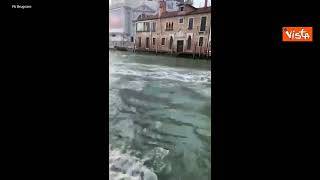Sci d'acqua nei canali di Venezia, il sindaco Brugnaro: A chi individua responsabili offro una cena