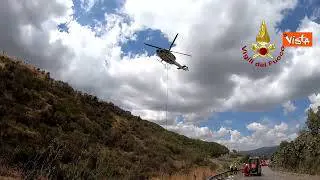 Mucca cade in un burrone, salvata dai Vigili del Fuoco