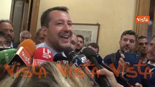 Salvini: "Di Maio è Ministro degli Esteri e passa il tempo a fare l'ape Maia"