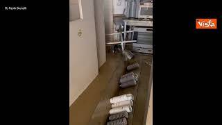 Alluvione Marche, ecco l'interno di una gelateria distrutta a Senigallia