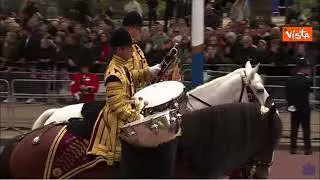 Funerali Elisabetta, ecco il "gigante gentile" Apollo, un cavallo da 800 kg, al corteo