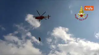 Bovino rimasto incastrato in un canalone nel siracusano le immagini dell'intervento con aerosoccorso