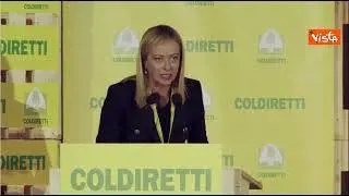 Meloni: "Non intendiamo fare da soli, coinvolgeremo corpi intermedi"