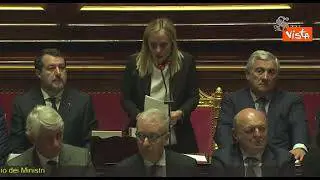 Meloni a Cucchi: "Mai organizzato manifestazioni per impedire ad altri di parlare"