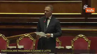 Lollobrigida: "Contrasterò in ogni sede produzione cibo sintetico"