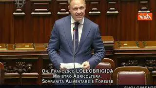 Lollobrigida: "Contrasteremo in ogni sede produzione cibo sintetico"