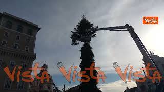 Albero di Natale a Piazza Venezia, le immagini dell’allestimento