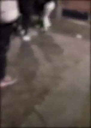 Le immagini della brutale aggressione alla disabile di Secondigliano