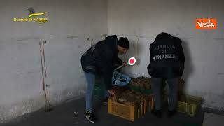 Scoperta dalla Guardia di Finanza fabbrica clandestina di fuochi d'artificio a Caserta